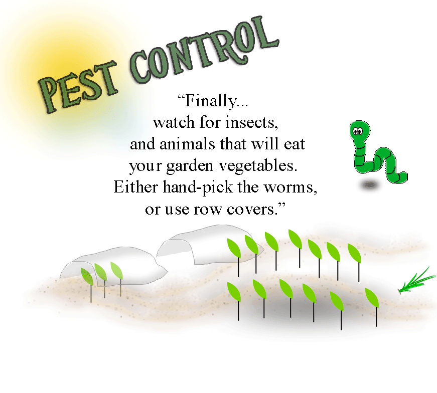 pest control